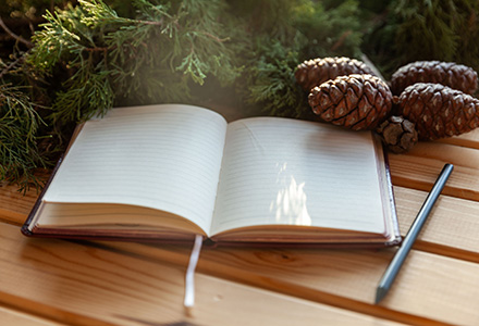 Journal and pencil on table with evergreens and pinecones