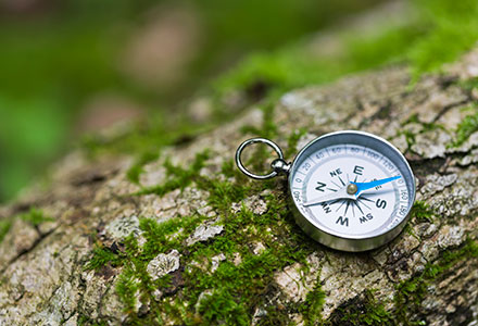 Photo of a compass sitting on a mossy log