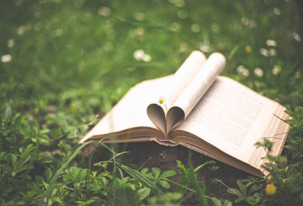 Photo of an open book on a field of grass. The interior pages are folded in to form a heart.